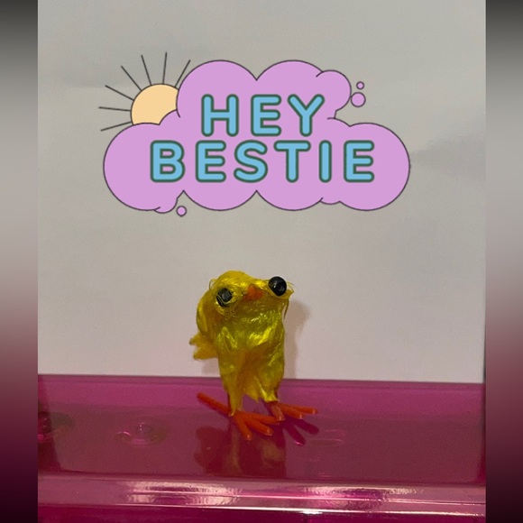 🌟Hi , I’m Tom! Let’s be besties🌟 - Picture 1 of 1